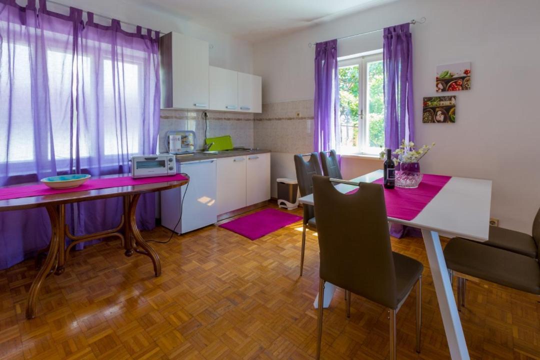 Apartment Dvorska 茨里克韦尼察 外观 照片